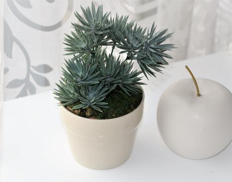 Dekoračný kvet-sukulent,