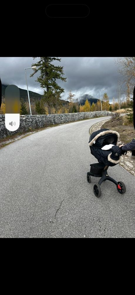 Kočík stokke explory gold, stokke,stokke xplory