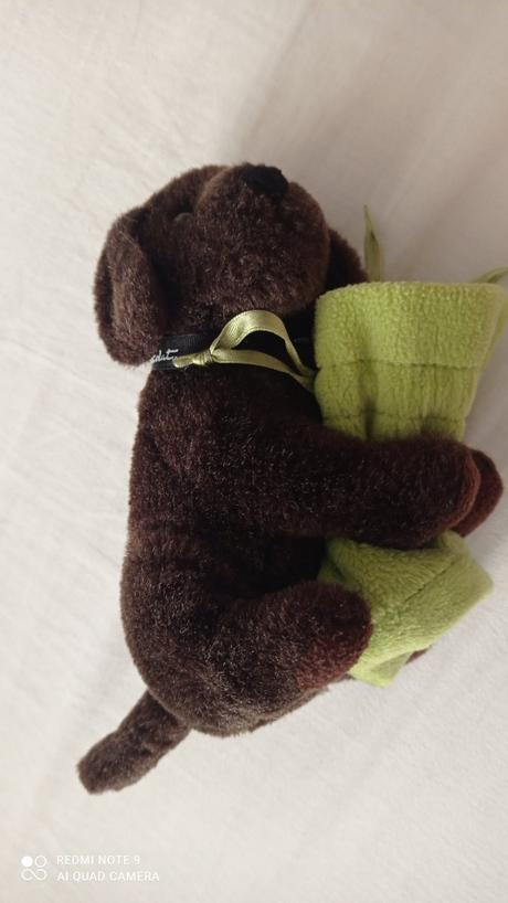 Plyšový psík, 