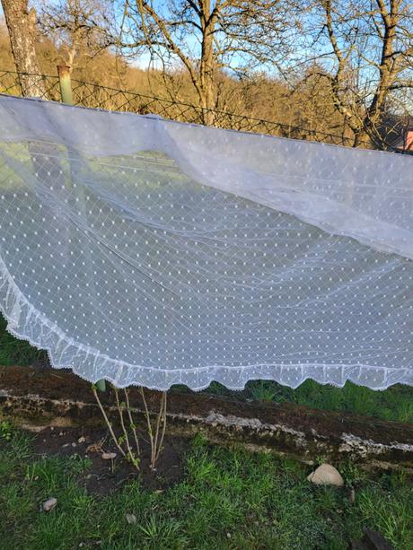 2 zošité záclonky s vlnovkami, 