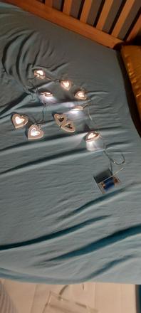 Srdiečkové svetielka, 