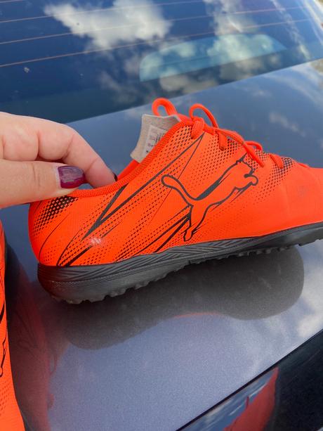 Turfy puma, puma,37