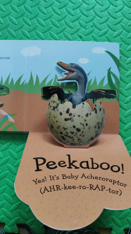 Pop up baby dinosaur,