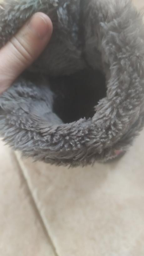 Zimné čižmy, richter,24