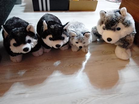 Plyšové vankúšiky psíky, 