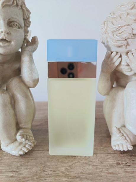 Dolce&gabbana light blue edt 100 ml,