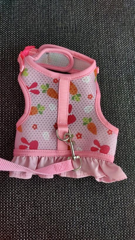 Oblečenie pre zajka, 