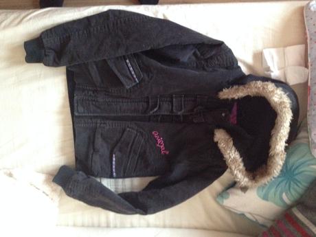 Zimna bunda animal, animal,134