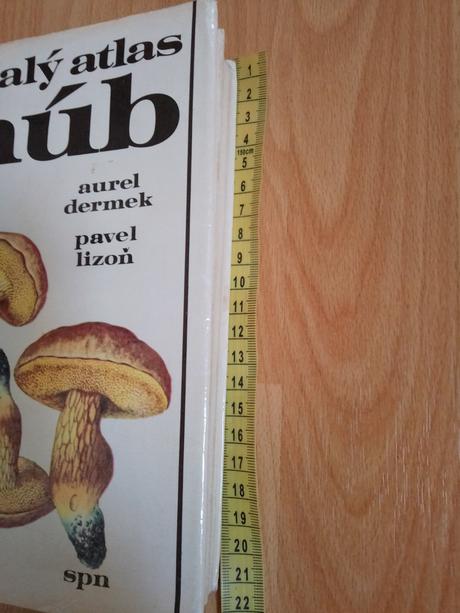 Kniha huby,