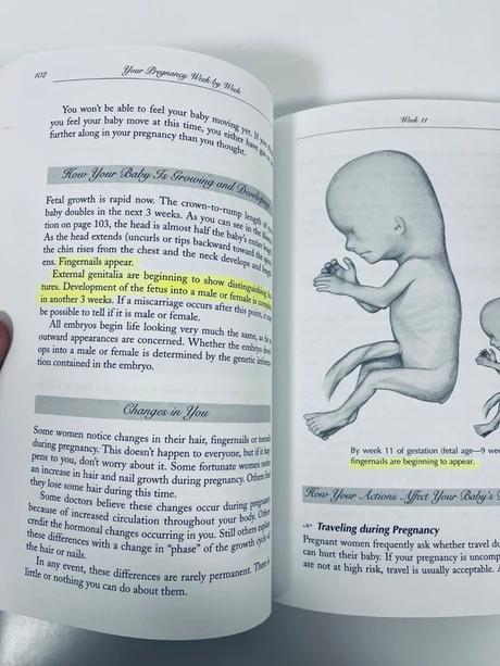 Your pregnancy week by week - kniha o tehotenstve, 