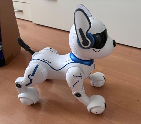 Robotický pes, 
