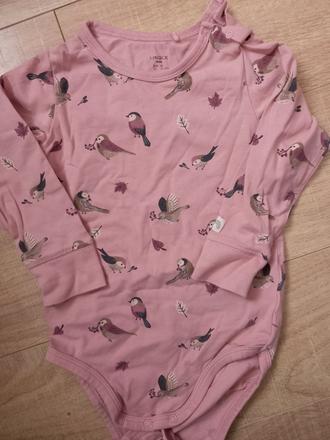 Body, lindex,86