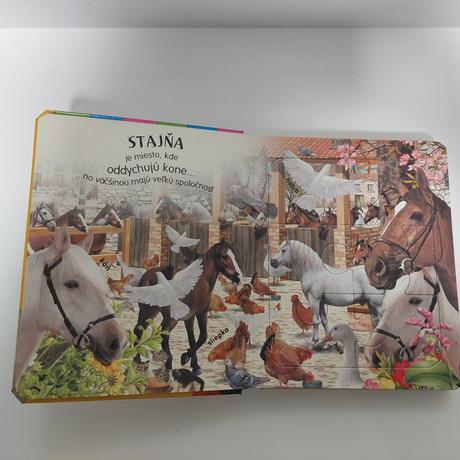 Knihy s puzzle, 