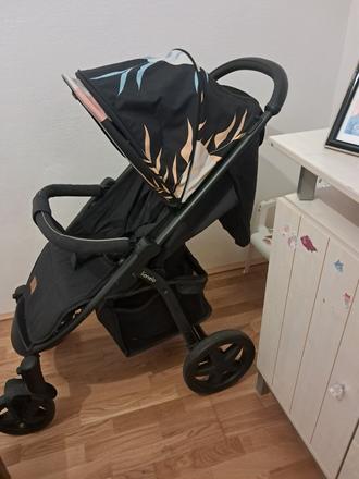 Športovy kočik, lionelo,lionelo annet plus