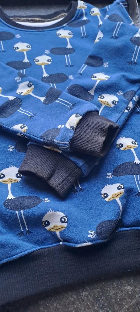 Mikina /pstrosy, 128