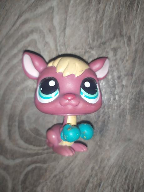 Lps littlest pet shop klokan kengura,