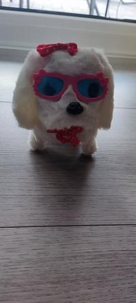 Biely psík, chodí, šteká,