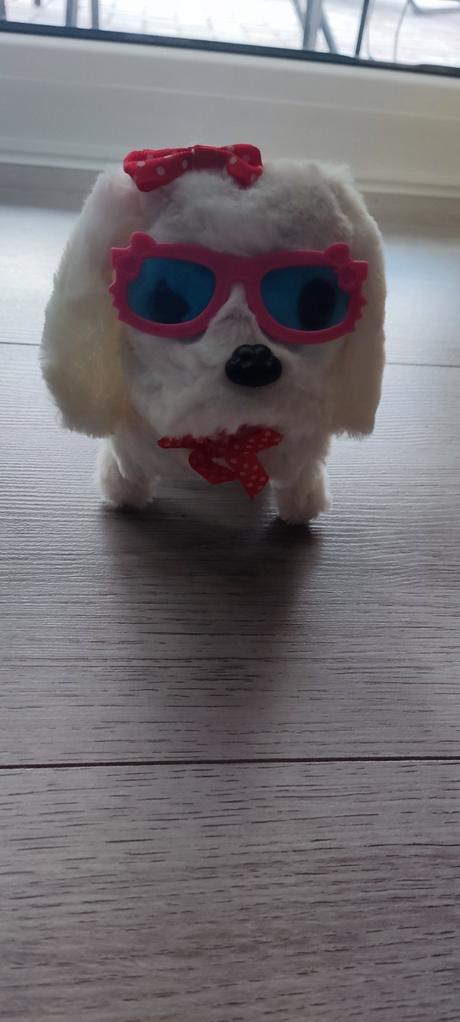 Biely psík, chodí, šteká, 