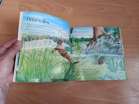 Animal homes - lift the flap, 