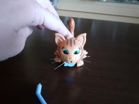 Mačiatko na kolieskach,