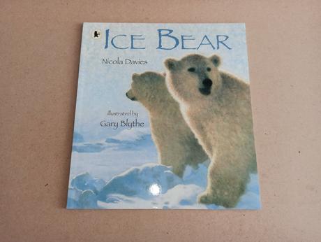 Nicola davies - ice bear, 