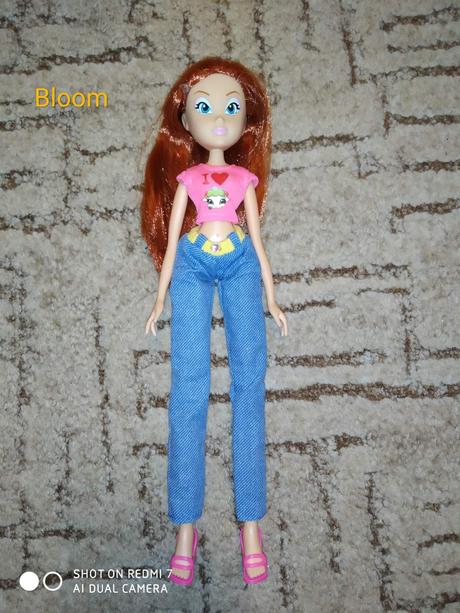 Zbierka babiky winx,