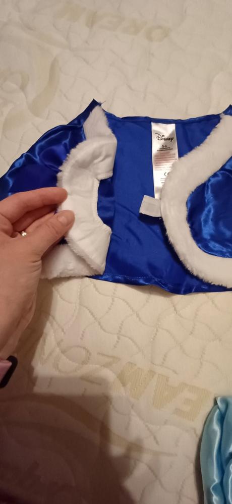 Karnevalový kostým,