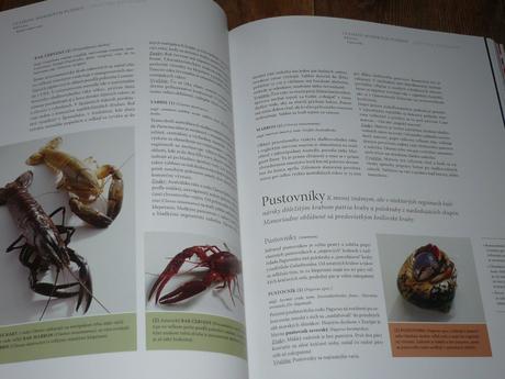 Kniha ryby a morské plody,