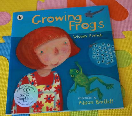 Growing frogs s cdčkom - p, 