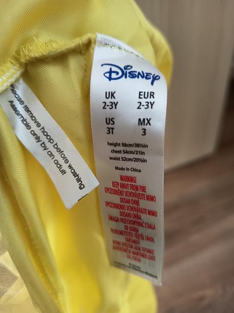 Karnevalový kostým, 