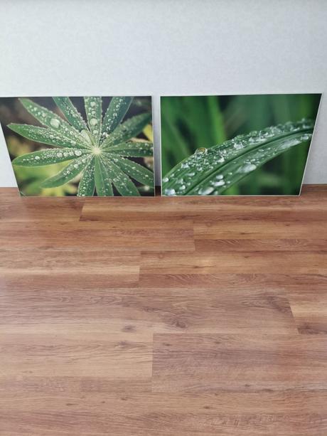 2pack obraz na stenu, 