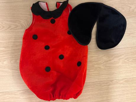 Karnevalovy kostym lienka, 