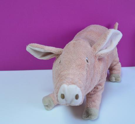 Prasiatko plyšové, 