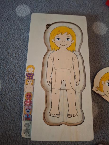 Drevena naucna hra ludske telo dievca,