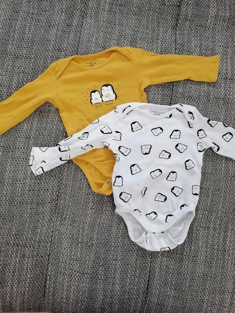 2x body, fox & bunny,74