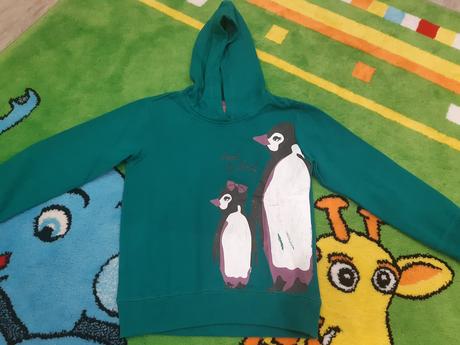 Mikina, dopodopo,110