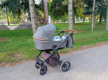 Kočík, roan,roan bloom