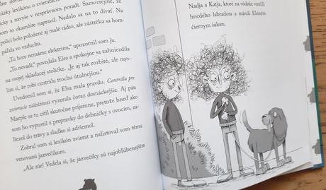 Knižka pán marple a jeho detektívna partička, 