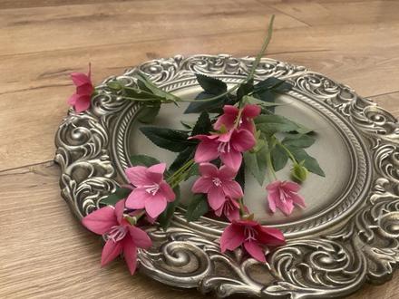 Cyklámenový kvietok,