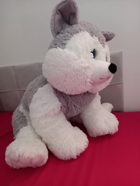 Veľký plyšový psík, 