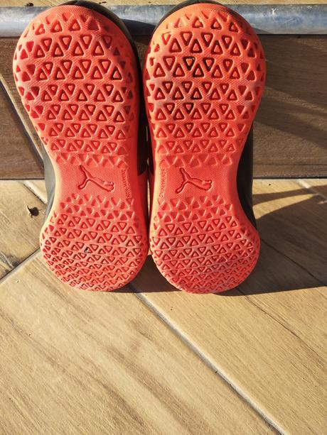 Halovky puma č.33, puma,33