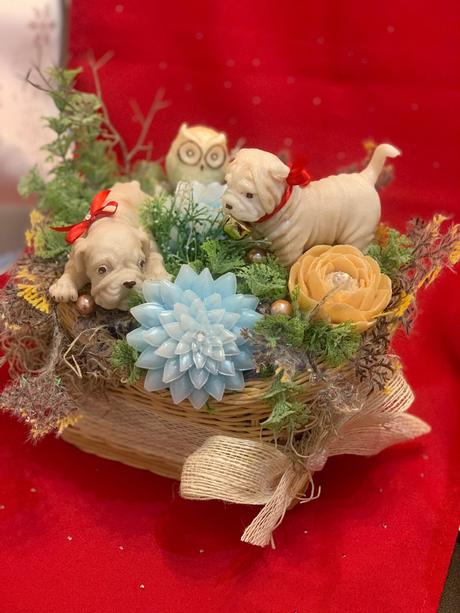 Detska mydlova kytica, 