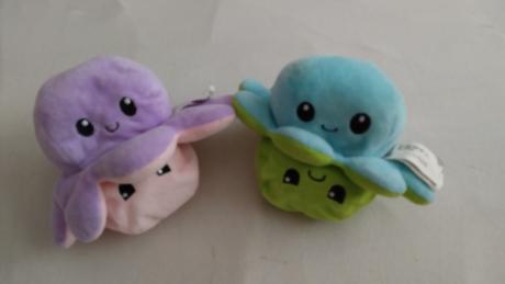 Chobotnica plyšák, 