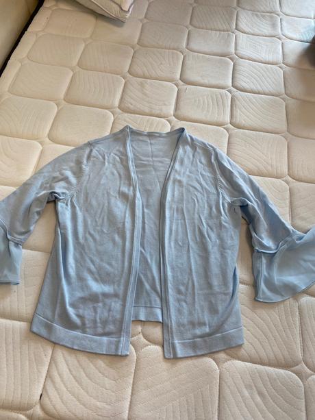 Bledomodry svetrik, orsay,s