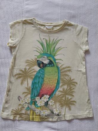Tričko s papagájom, pepco,98