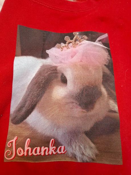 Mikiny so zajkom, 146