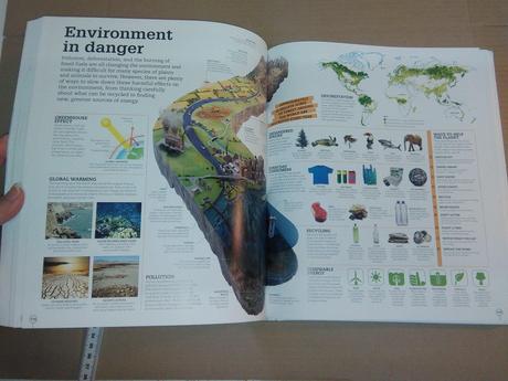 Dk picture this encyclopedia, 