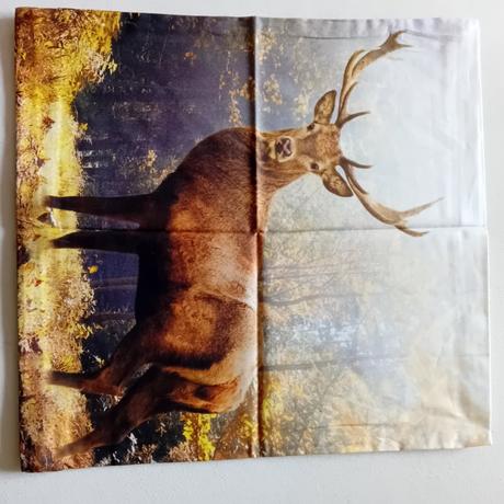 Obliečka na vankúšik, šírka (cm): 40,dĺžka (cm): 40