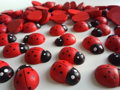 Drevená korálka lienka , 