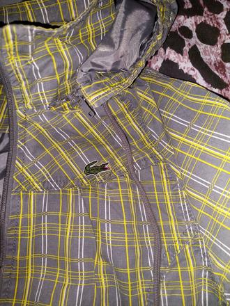 Tensia bunda, lacoste,m